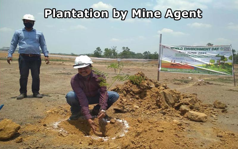 Plantation by Mine Agent